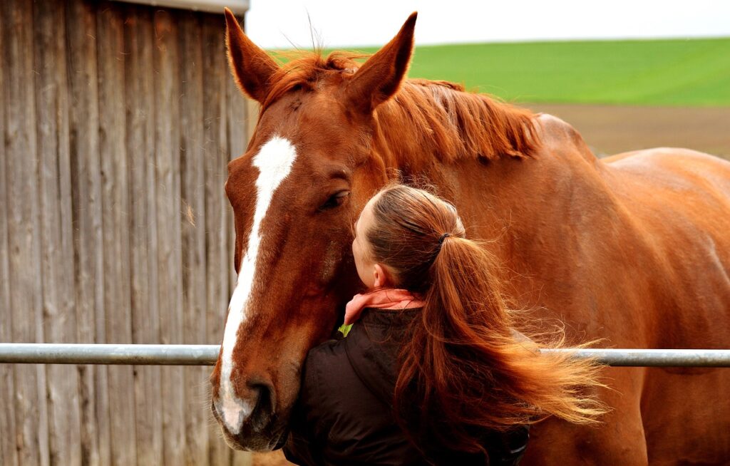 The Benefits Of Therapy Animals