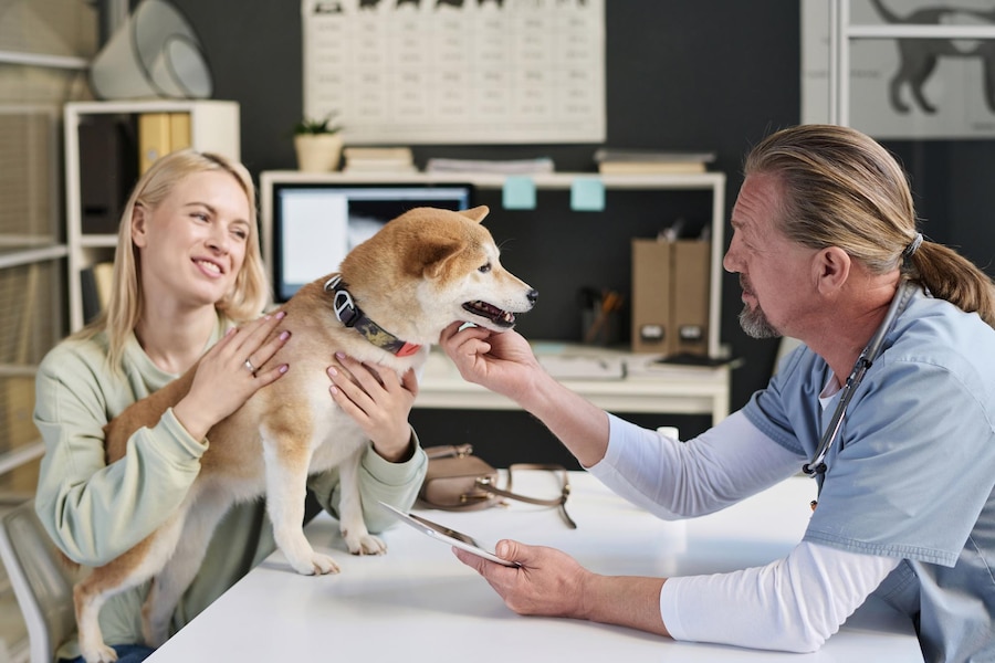 Best Pet-Friendly Drug Rehab Centers in Southern California