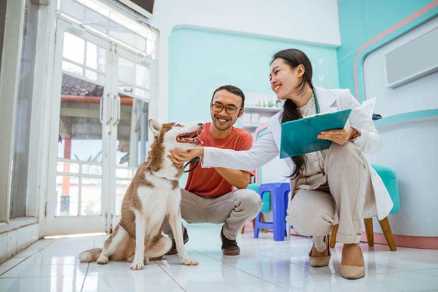 How to Choose a Pet-Friendly Rehab Facility: Essential Factors to Consider