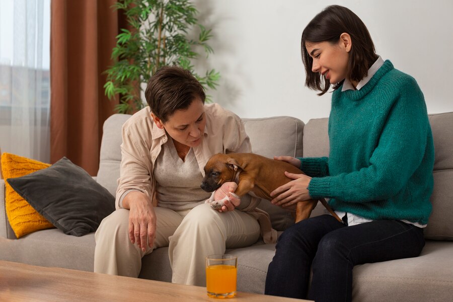 Overcoming Addiction While Caring for Your Pet: A Guide to Pet-Friendly Rehab