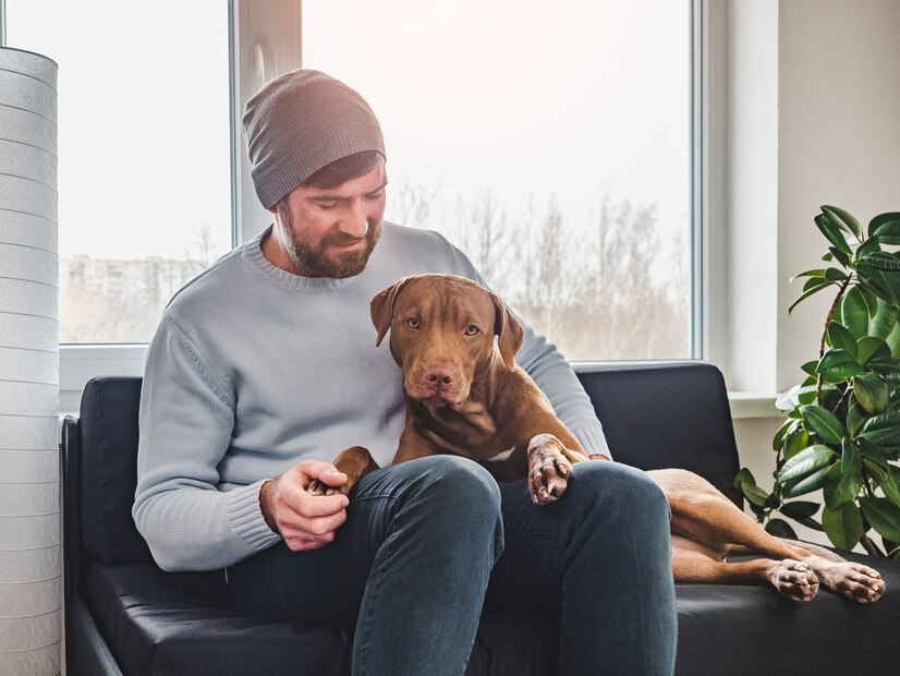 Overcoming Addiction While Caring for Your Pet: A Guide to Pet-Friendly Rehab Pet Friendly Rehabs