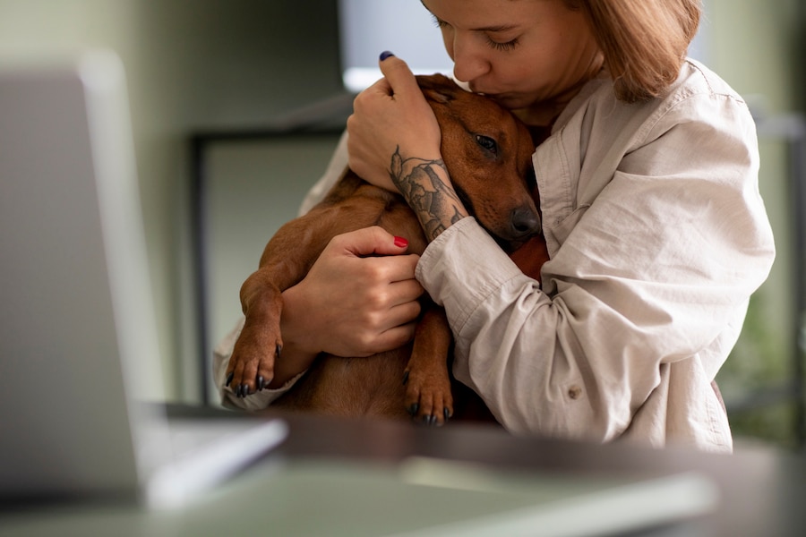 Pet-Friendly Addiction Treatment: A New Approach to Recovery