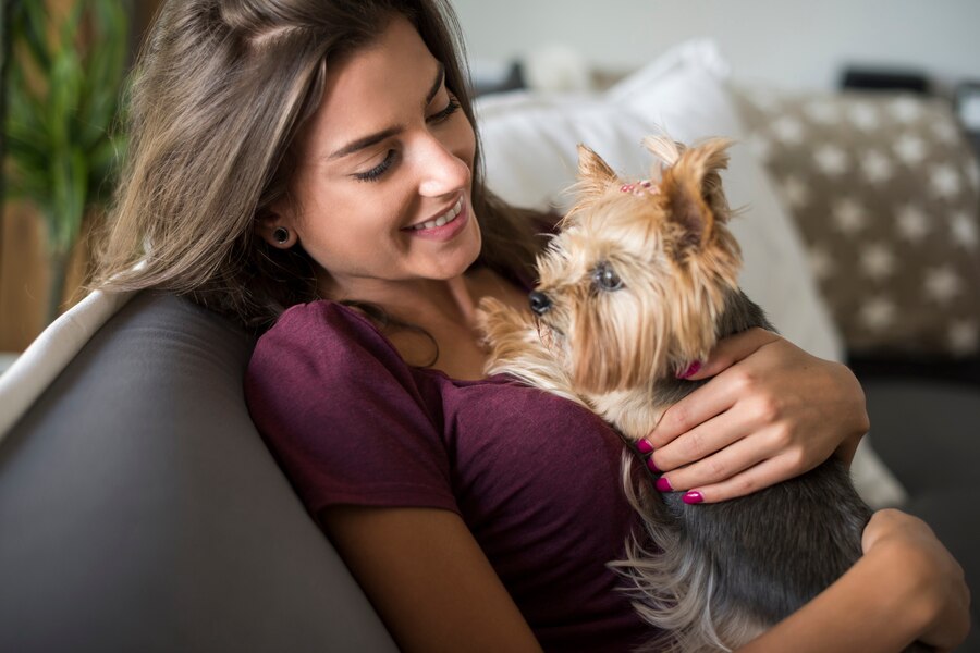 Pet-Friendly Drug Rehab Southern California: Finding Treatment and a Home for Your Furry Friend Pet Friendly Rehabs