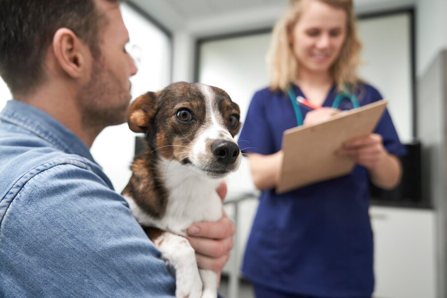 Pet Visitation Policies in Drug Rehab: Maintaining Your Bond Pet Friendly Rehabs