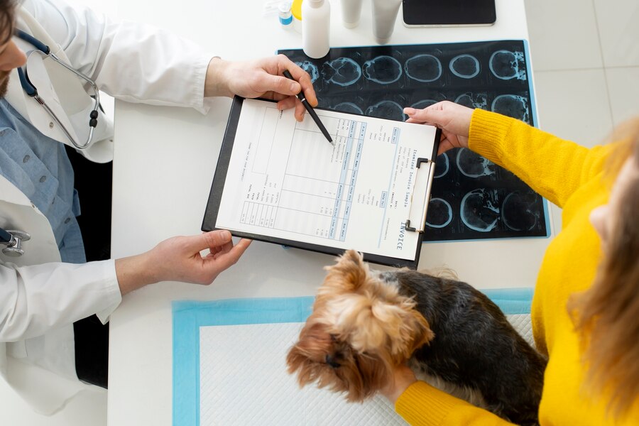 Pet Visitation Policies in Drug Rehab: Maintaining Your Bond