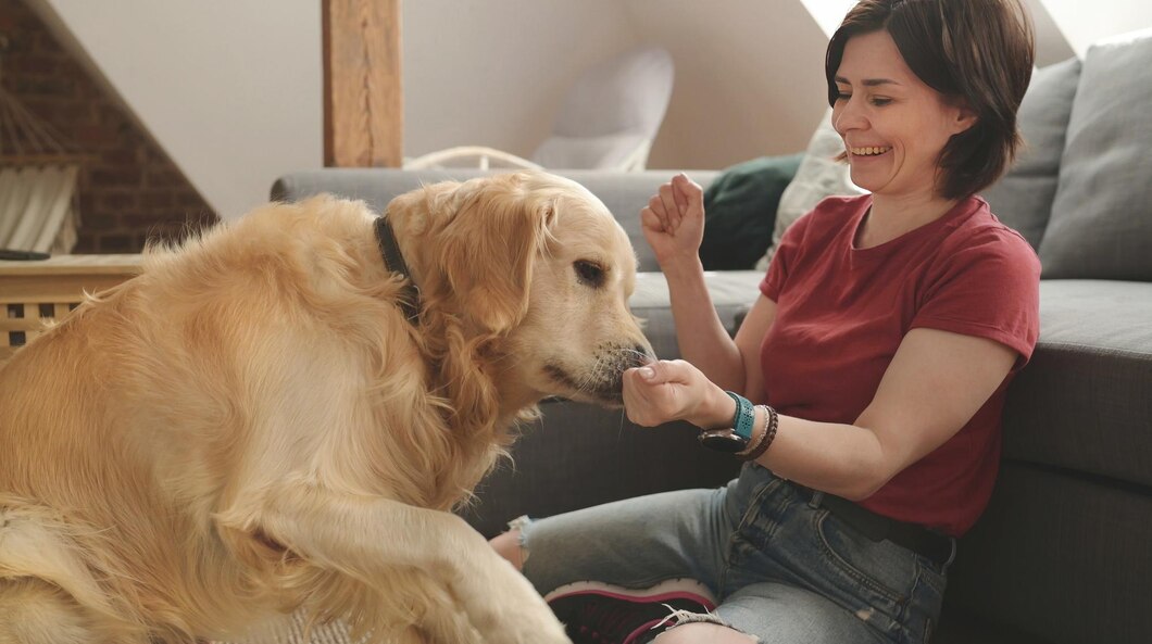 The Benefits of Pet Therapy in Addiction Recovery: A Holistic Approach Pet Friendly Rehabs