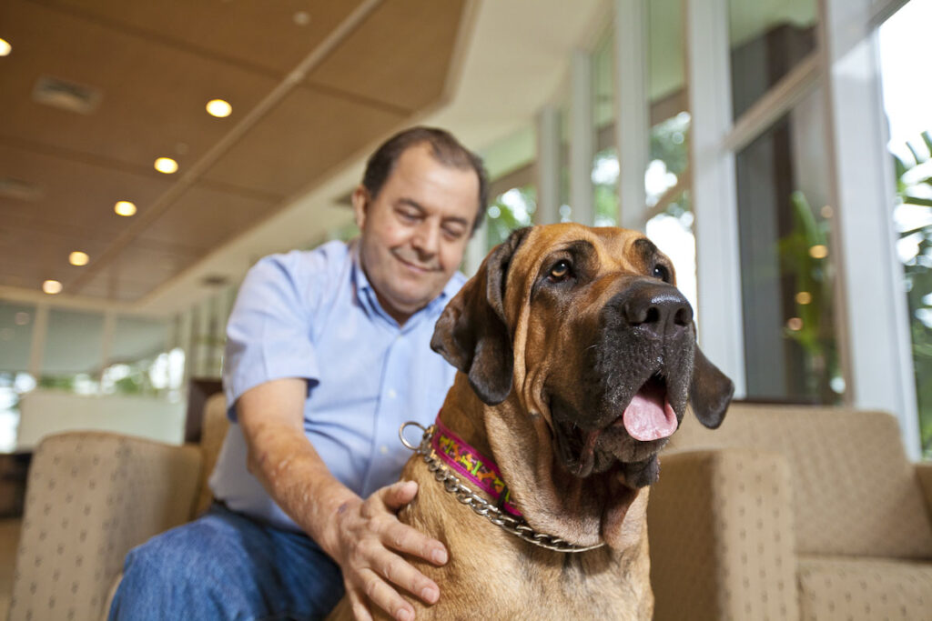 Overcoming Addiction While Caring for Your Pet in Southern California