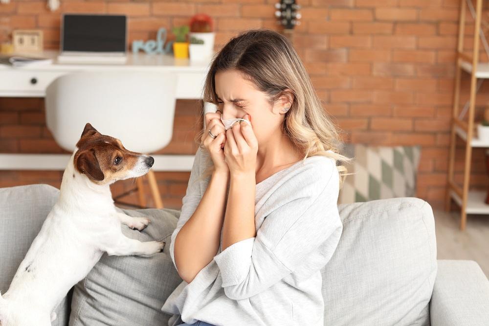 Managing Pet Allergies and Animal-Related Issues in Rehab