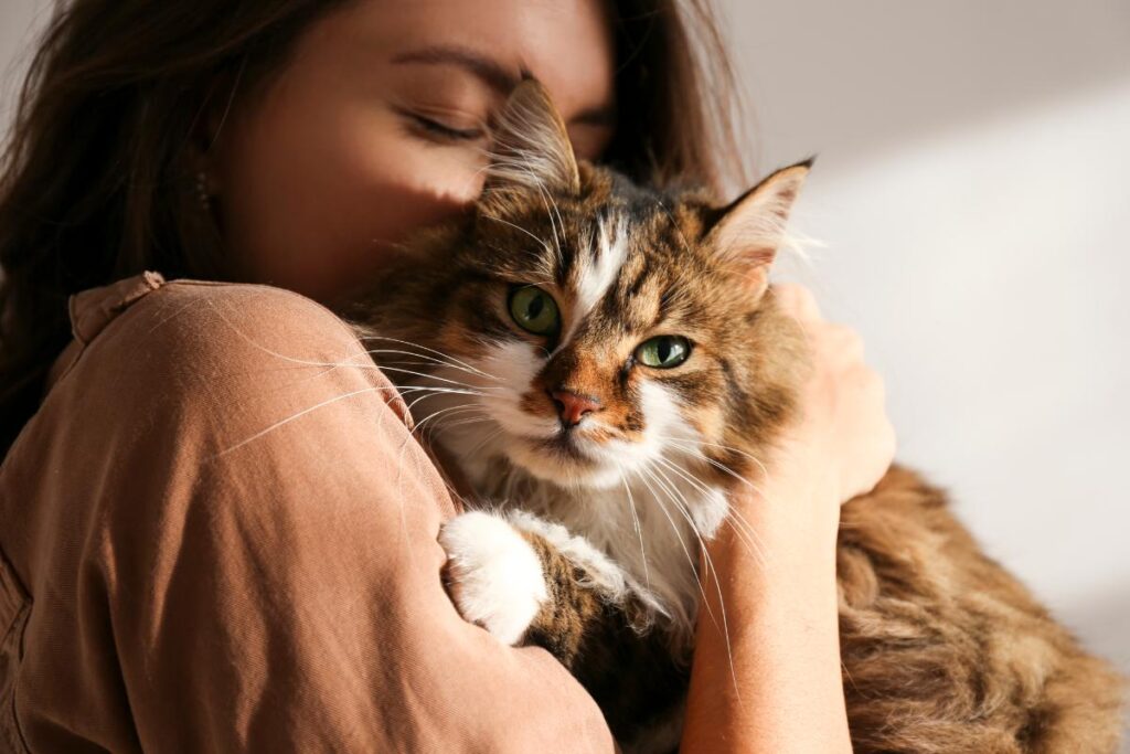 Cat-Friendly Substance Abuse Treatment Programs in Southern California