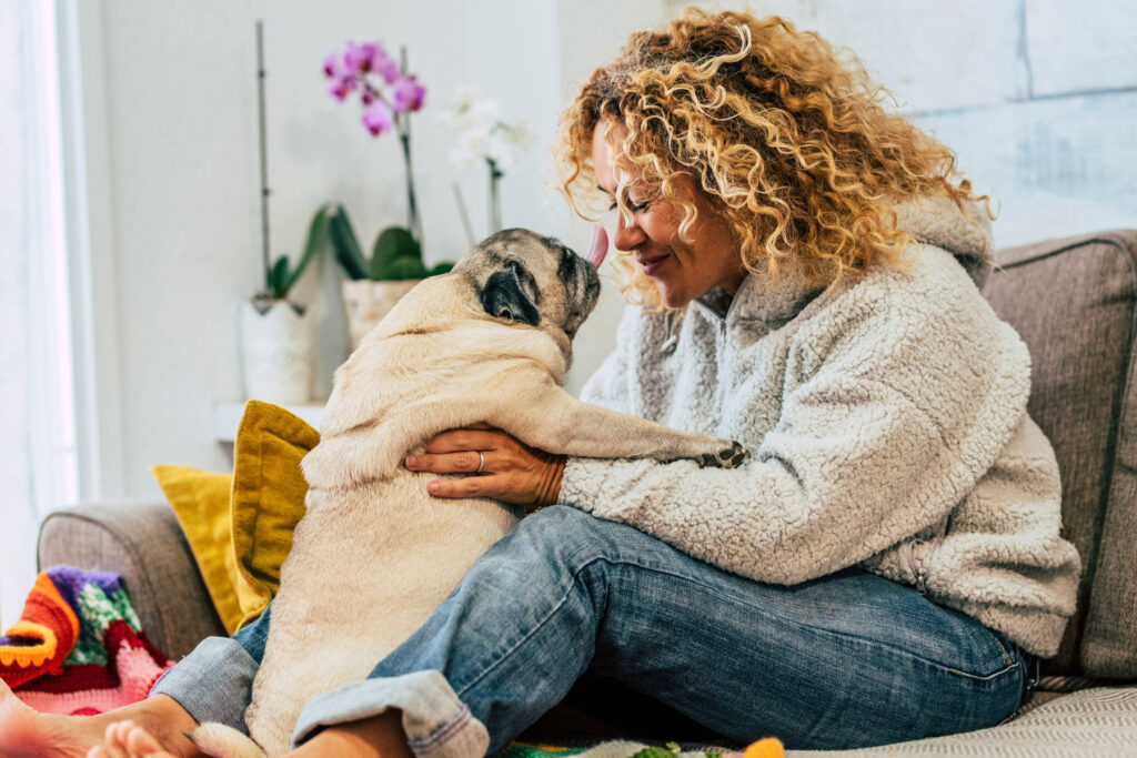 Overcoming Addiction While Caring for Your Pet: A Guide to Pet Friendly Rehab in Southern California