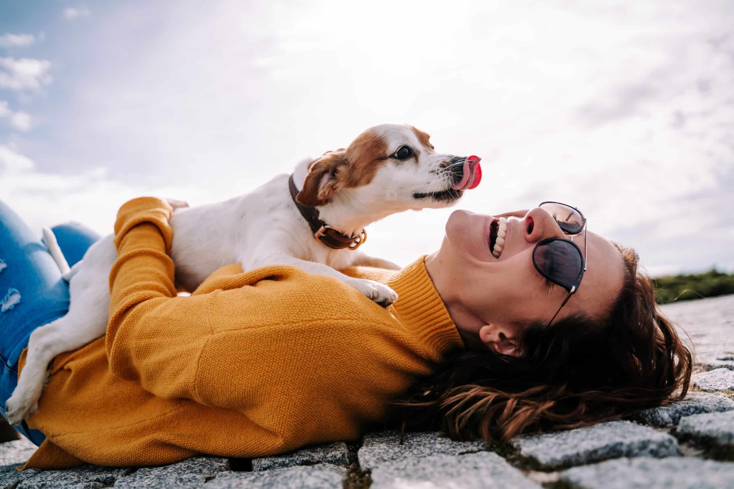 Pet-Friendly Drug Rehab FAQs Pet Friendly Rehabs