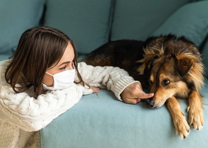 Top Questions About Pet-Friendly Rehab Answered Pet Friendly Rehabs