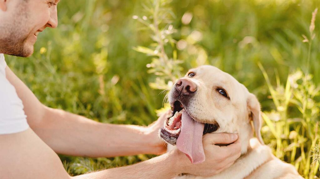 Pet-Friendly Drug Rehab Centers in Southern California