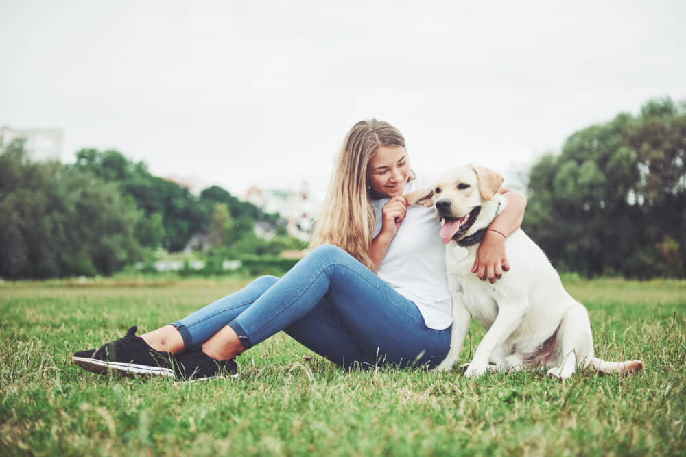 Best Dog-Friendly Rehab Facilities in Southern California Pet Friendly Rehabs