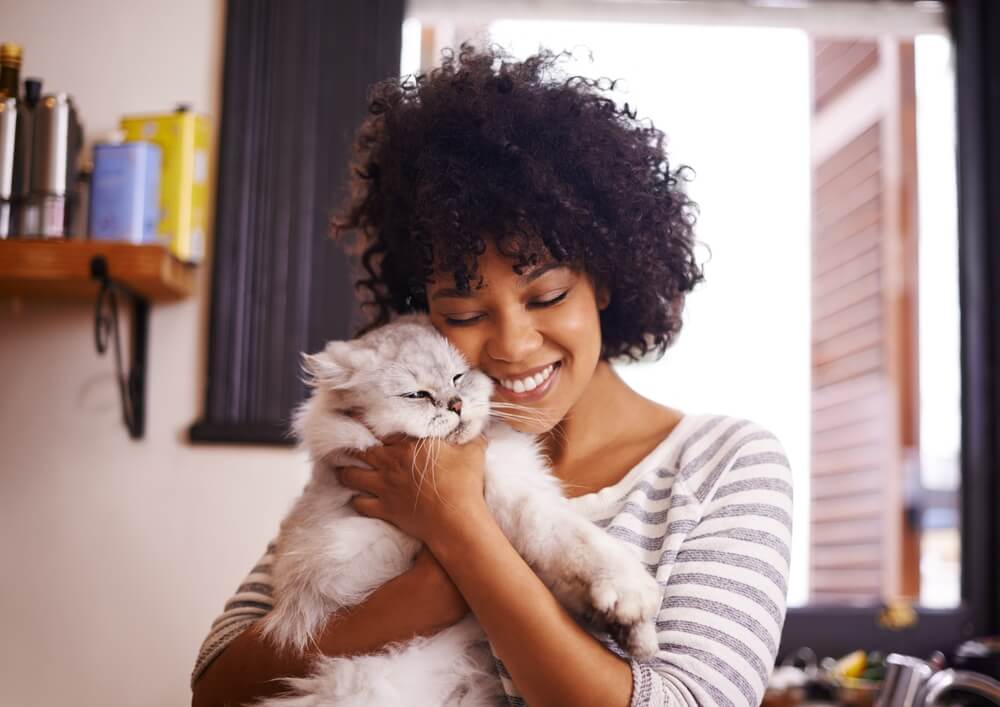 Cat-Friendly Treatment Centers: A Pet-Friendly Approach to Rehab in Southern California Pet Friendly Rehabs