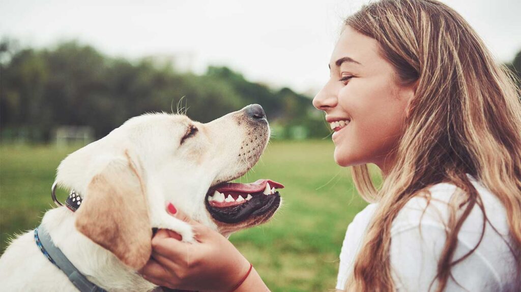 Rehab Centers That Allow Pets Pet Friendly Rehabs