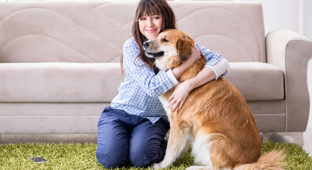 Finding Hope Together: Exploring Pet-Friendly Rehab Centers in California Pet Friendly Rehabs