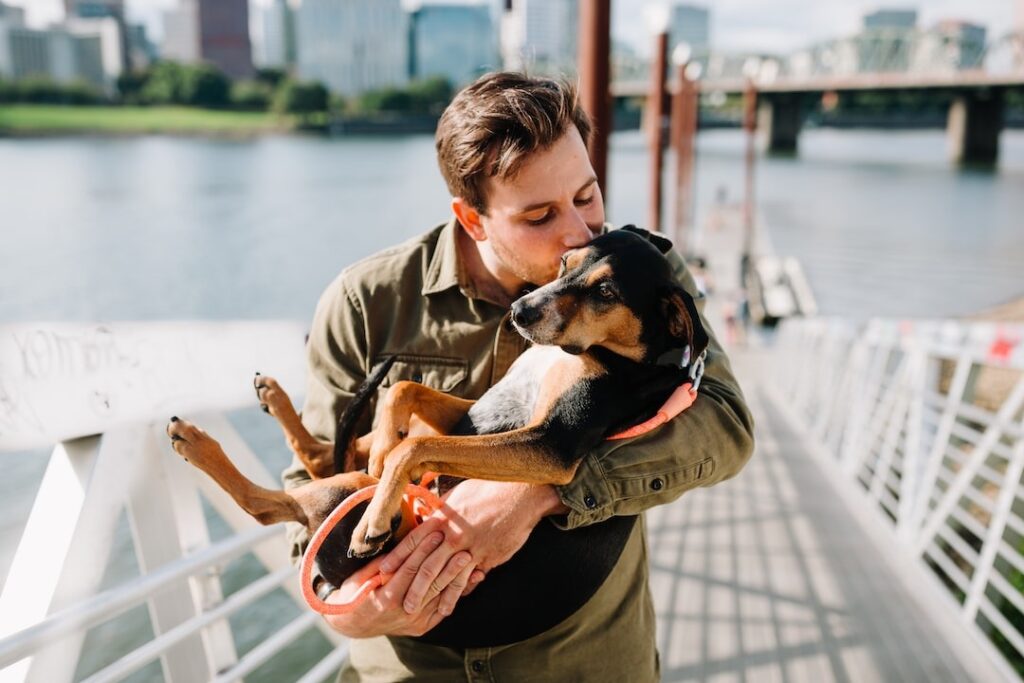 Pet-Friendly Alcohol Rehab Options in California: A Unique Path to Recovery with Pet Friendly Rehab Pet Friendly Rehabs