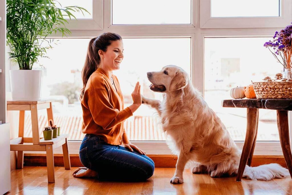 Pet-Friendly Food and Nutrition for Individuals in Recovery