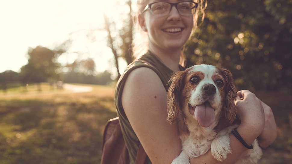 Pet-Friendly Rehab in California: Your Guide to Healing with Pet Friendly Rehab Pet Friendly Rehabs