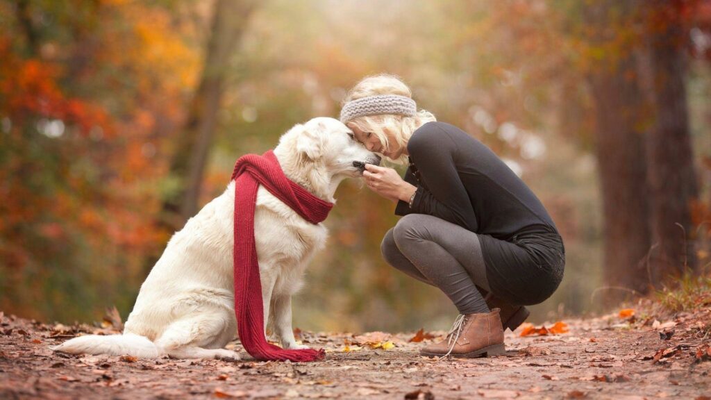 Exploring Outdoor Activities with Pets in Rehab: A Journey of Healing and Connection