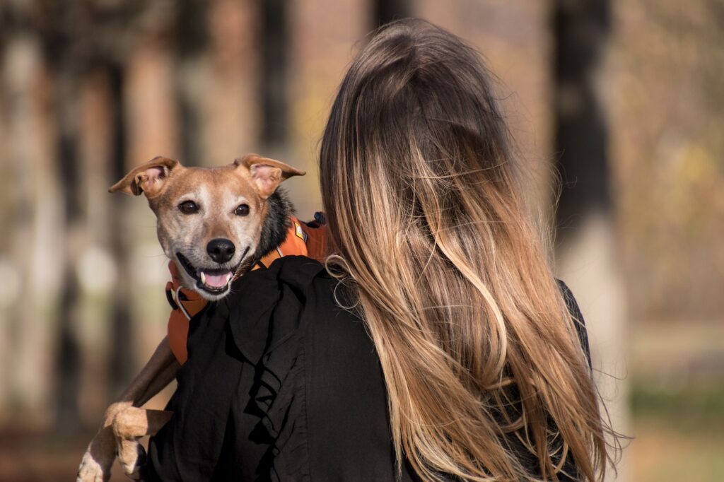 Pet-Friendly Drug Rehab in California