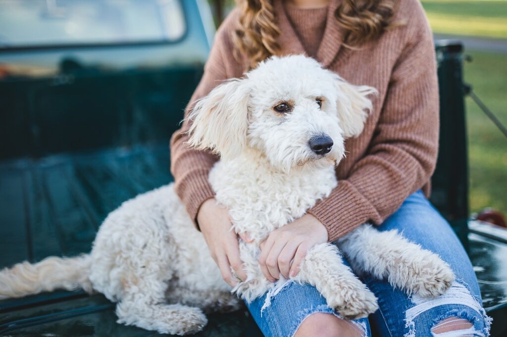 Pet-Friendly Inpatient Drug Rehab