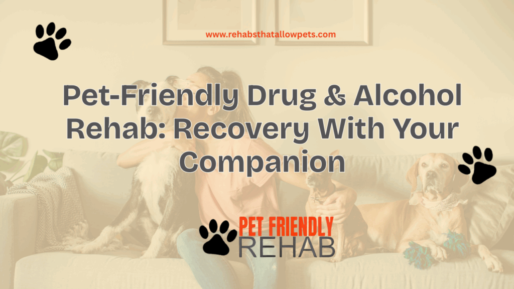 Pet-Friendly Drug & Alcohol Rehab: Recovery With Your Companion