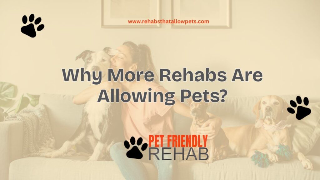Why More Rehabs Are Allowing Pets?