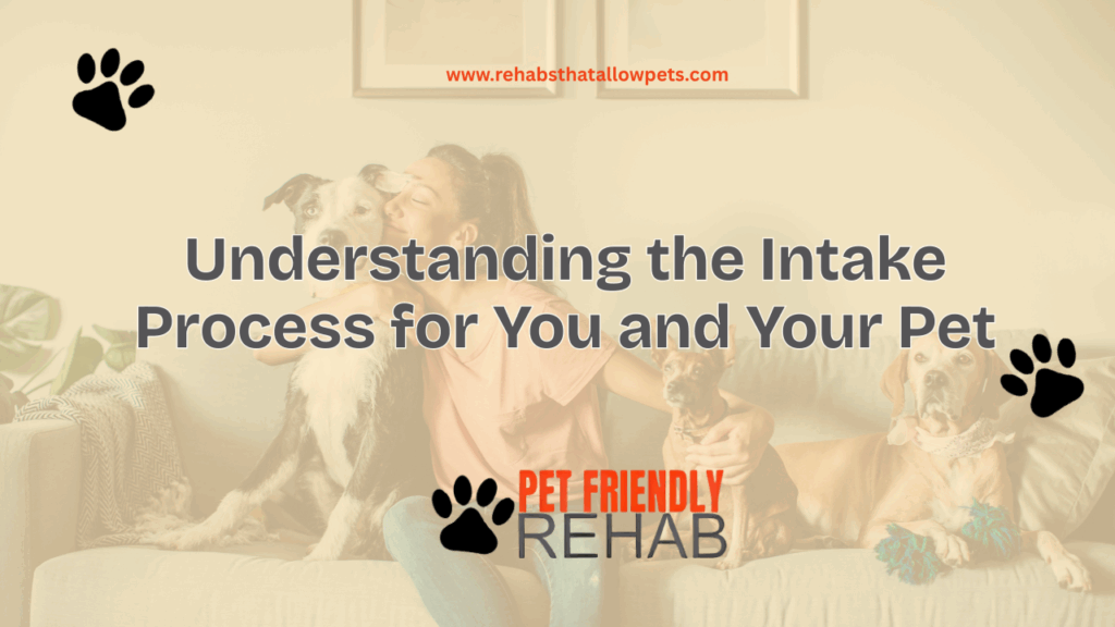 Understanding the Intake Process for You and Your Pet