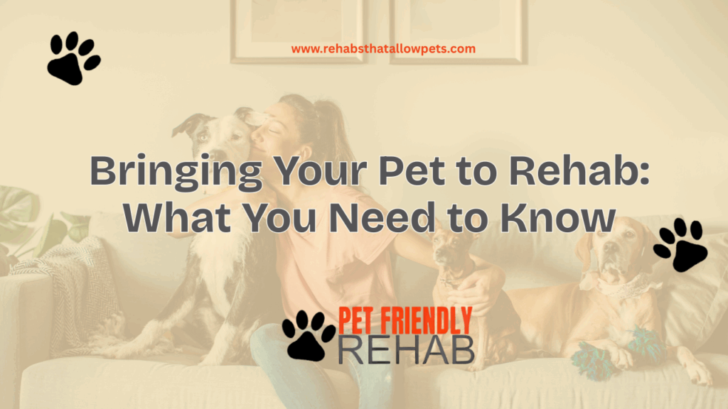 Bringing Your Pet to Rehab: What You Need to Know